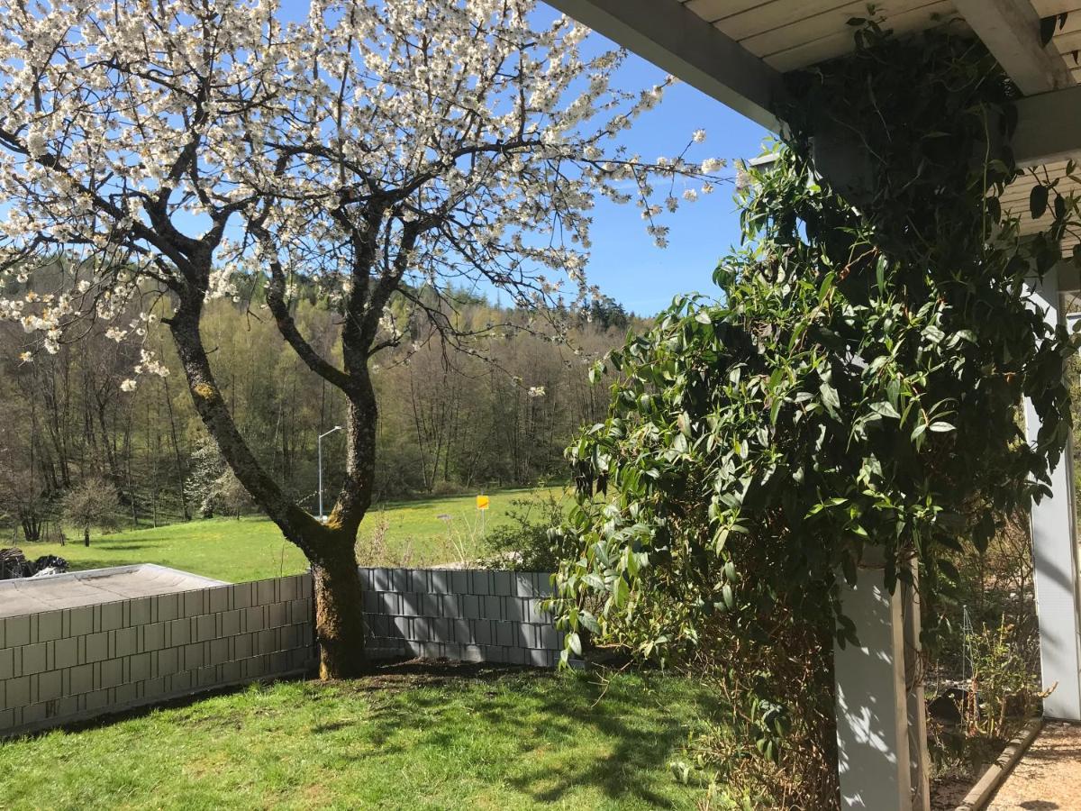 Schönau an der Brend Pension-Ferienwohnung Liesbachtal Direkt Am Waldrand Bayerische Rhoen מראה חיצוני תמונה