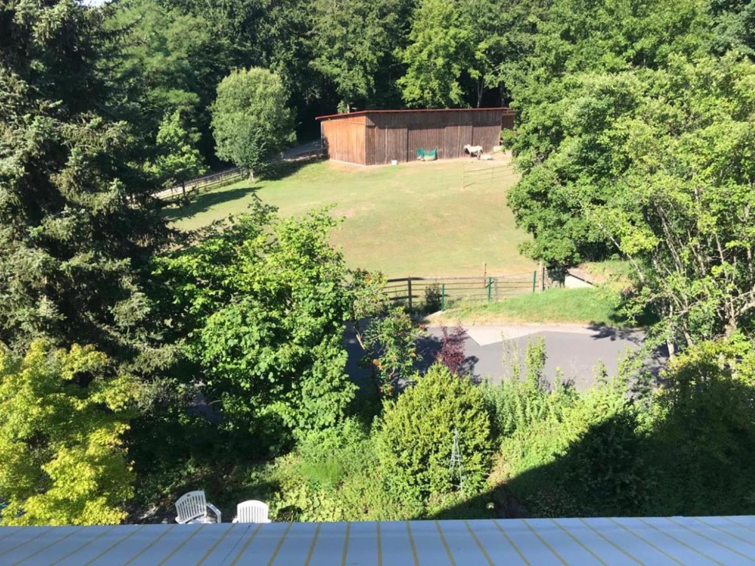 Schönau an der Brend Pension-Ferienwohnung Liesbachtal Direkt Am Waldrand Bayerische Rhoen חדר תמונה