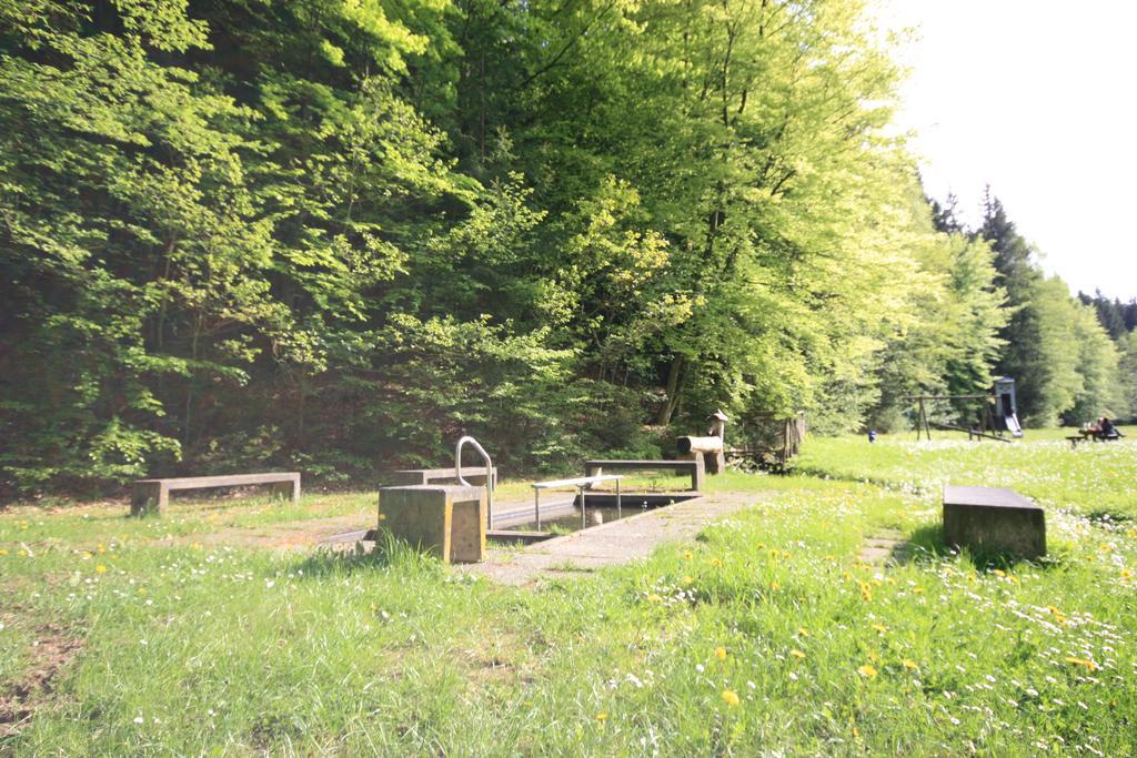Schönau an der Brend Pension-Ferienwohnung Liesbachtal Direkt Am Waldrand Bayerische Rhoen מראה חיצוני תמונה