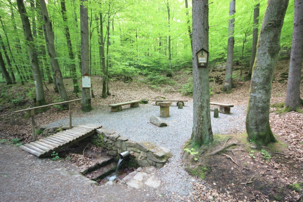 Schönau an der Brend Pension-Ferienwohnung Liesbachtal Direkt Am Waldrand Bayerische Rhoen מראה חיצוני תמונה